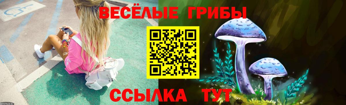 Галлюциногенные грибы мицелий Асбест